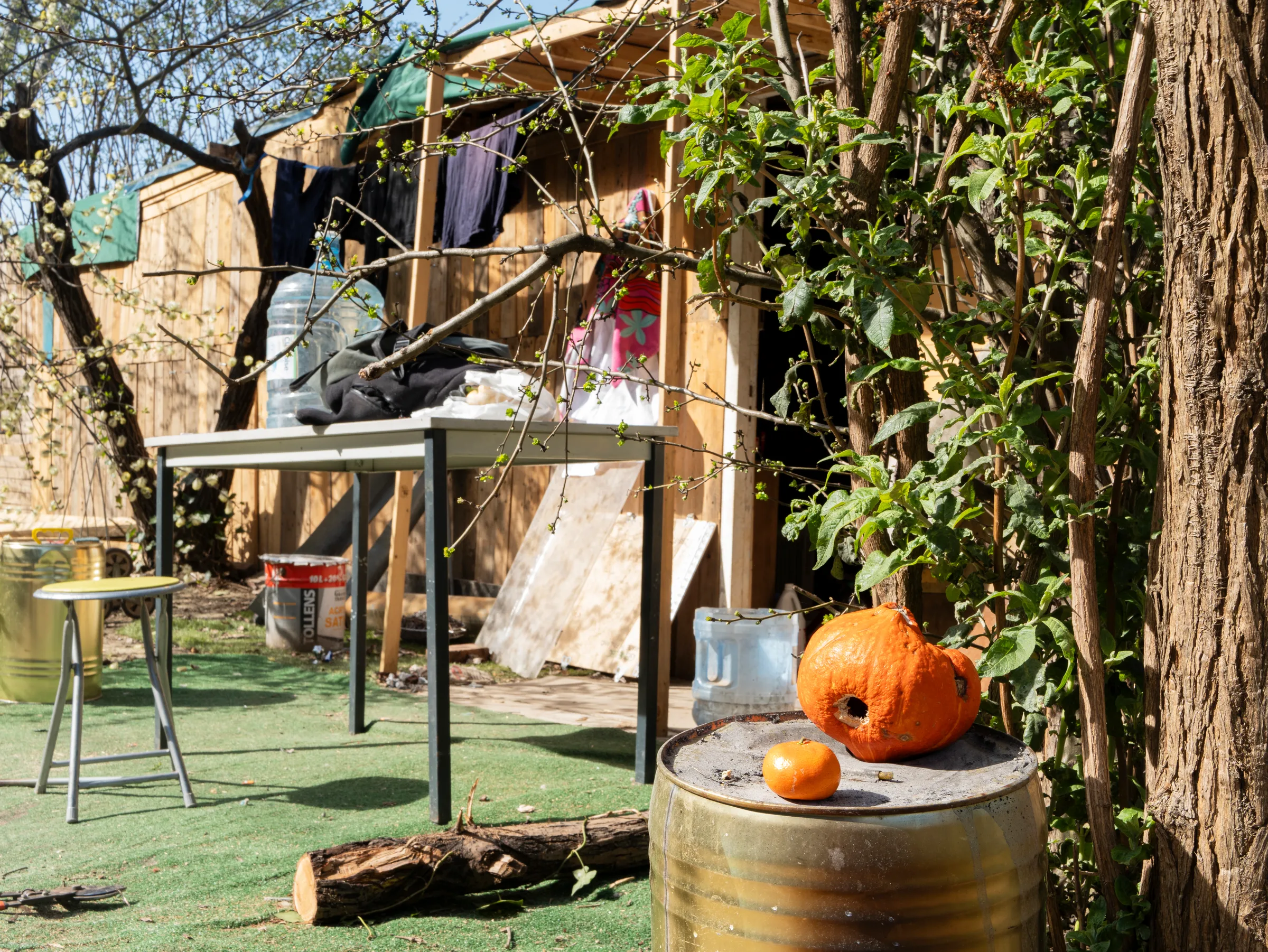 Le menuisier du tram-8