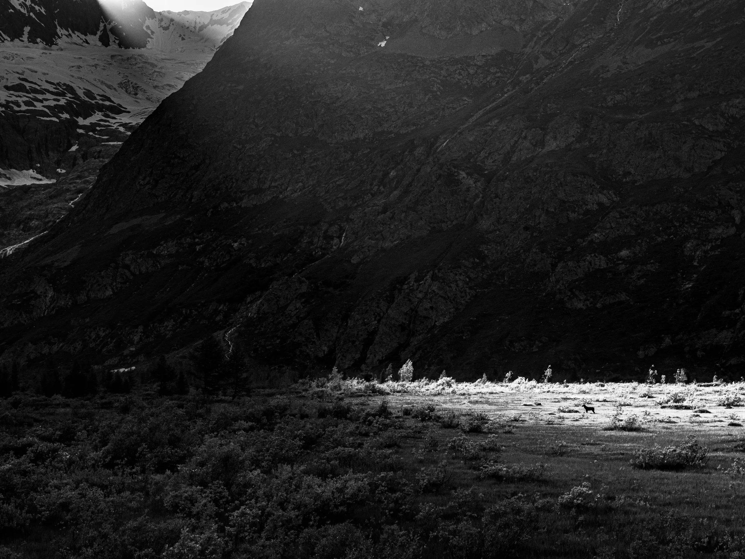 Genesis Du Mont Blanc-7