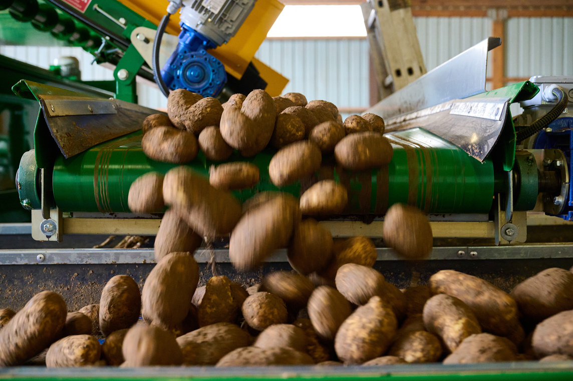 Campagne McDonald's - Filière Pomme de Terre-1